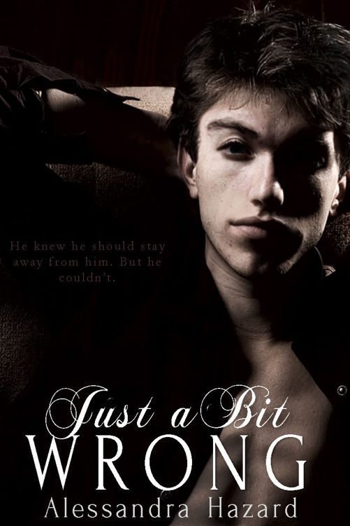 Just a Bit Wrong (Straight Guys Book 4)